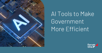 Artificial Intelligence for Government